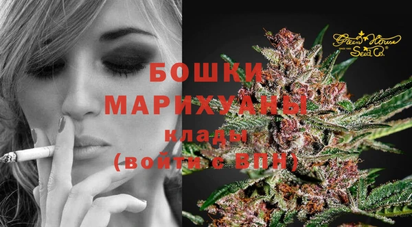 spice Беломорск