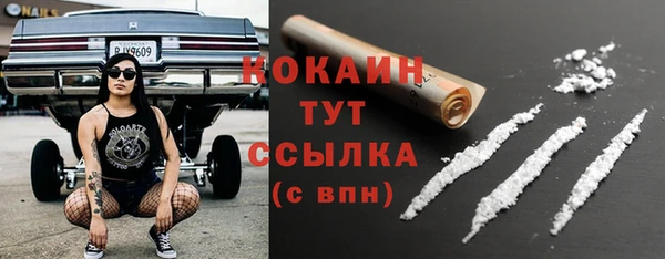 spice Беломорск