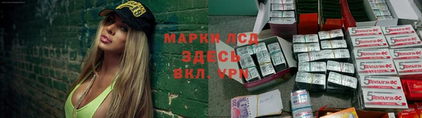 spice Беломорск