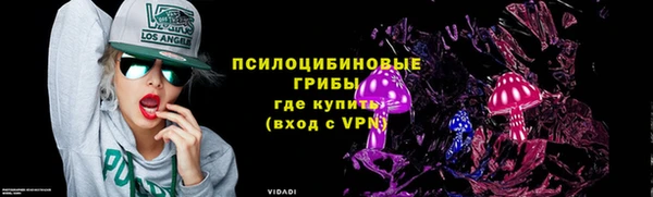 spice Беломорск