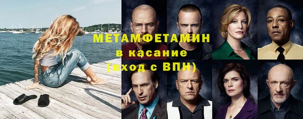 ПСИЛОЦИБИНОВЫЕ ГРИБЫ Богданович