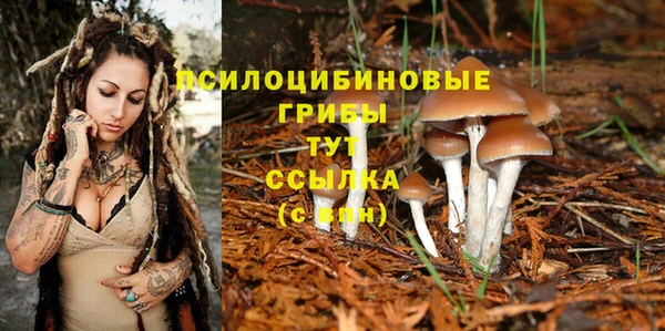 ПСИЛОЦИБИНОВЫЕ ГРИБЫ Богородск